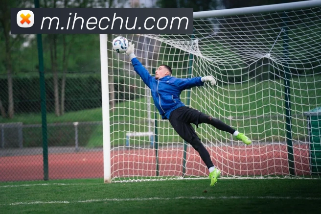 App Interface Preview